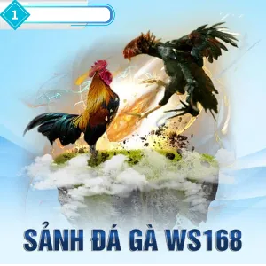 Game thủ chuyên nghiệp đang thi đấu E-sports, biểu tượng của cá cược E-sports tại mega casino world